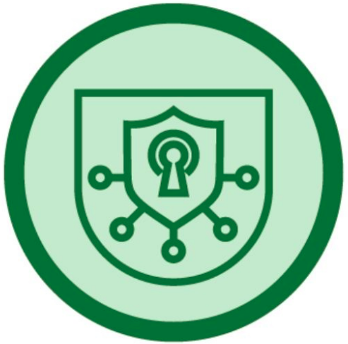 Especialista en Ciberseguridad